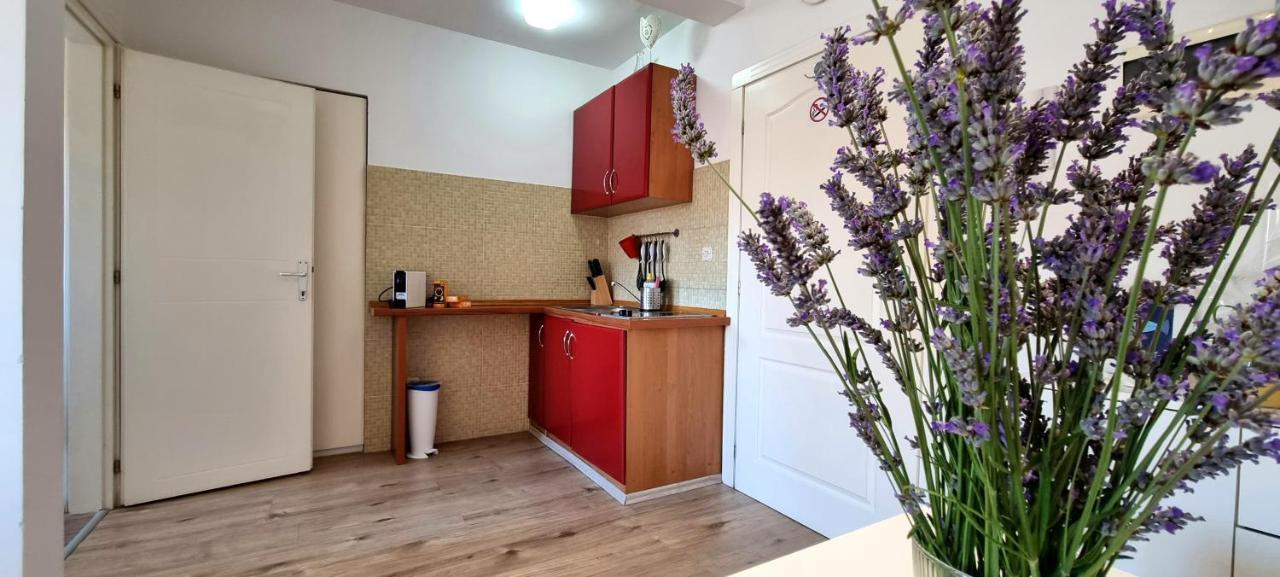 Tiny Studio Big Living Lejlighed Rovinj Eksteriør billede