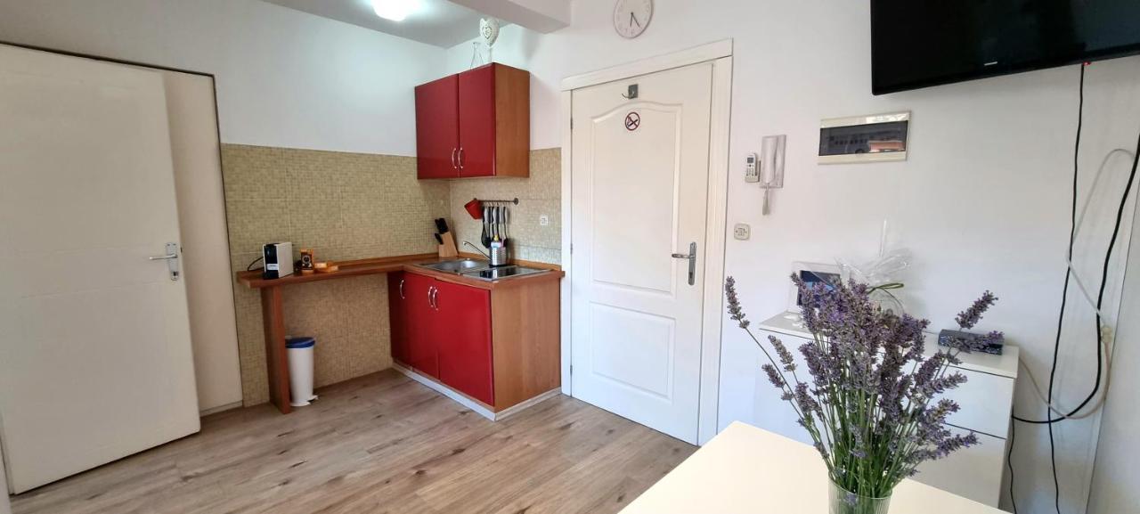 Tiny Studio Big Living Lejlighed Rovinj Eksteriør billede